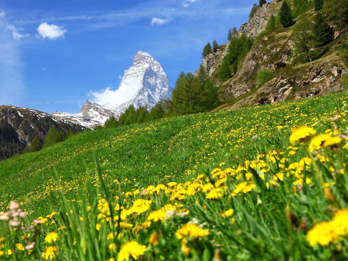 Apartment Alba By Interhome Zermatt Exterior foto