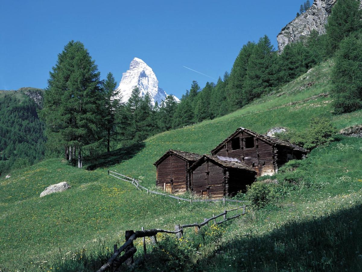 Apartment Alba By Interhome Zermatt Exterior foto